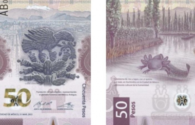 Billete de 50 pesos del ajolote, reconocido como el más bonito del mundo