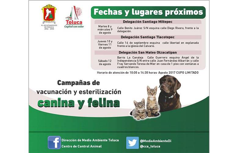Continúa campaña de esterilización y vacunación en barrios, colonias y delegaciones de Toluca