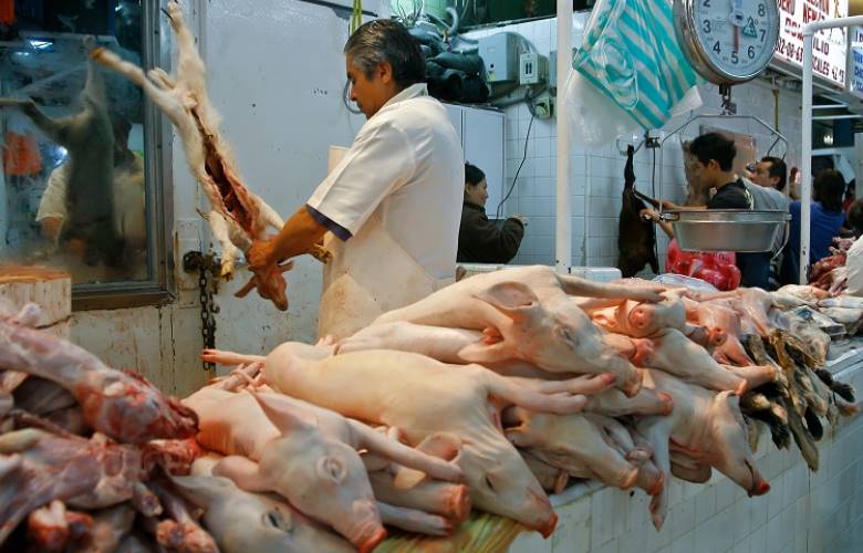 CoprISEM verifica rastros para garantizar calidad 