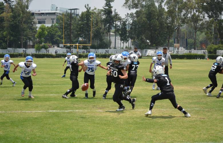 Borregos  Toluca enfrentará a Toritos Texcoco