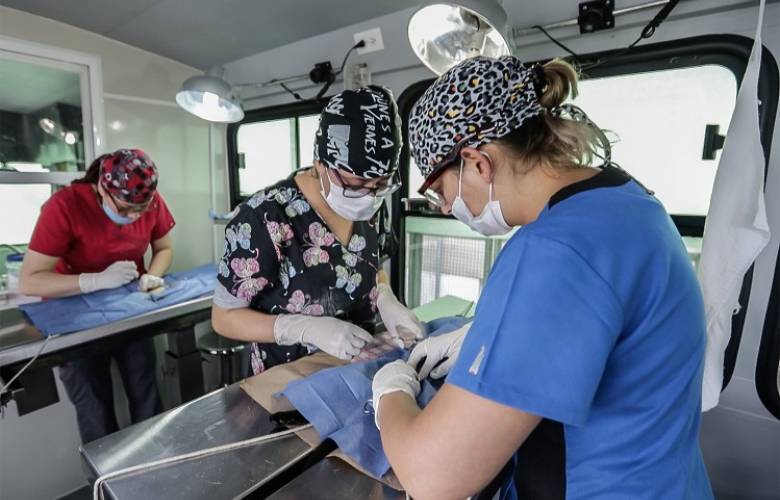 Programa de Esterilización de Perros y Gatos de UAEM  ha realizado más de 20 mil procedimientos quirúrgicos