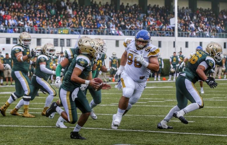 Caen Potros salvajes 34-19 ante auténticos Tigres