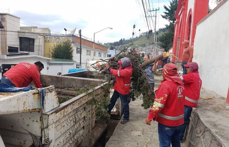 Retiraron 23 árboles del panteón de San Mateo Oxtotitlán que cayeron con la tromba 
