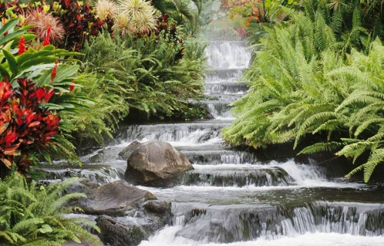 Consolida UAEM investigación sobre conocimiento,  manejo y conservación de recursos bióticos