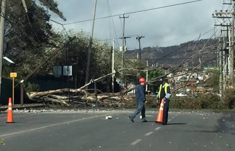 Se atienden las afectaciones con brigadas del ayuntamiento de Toluca