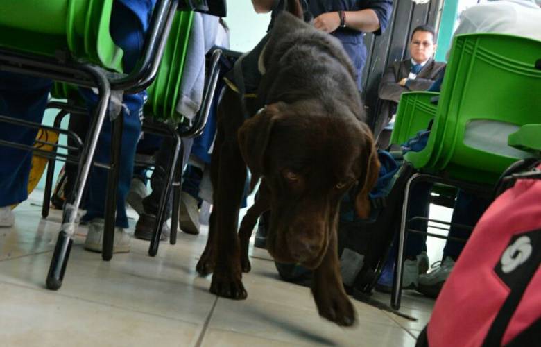 Realizan operativo mochila en Cuautitlán Izcalli