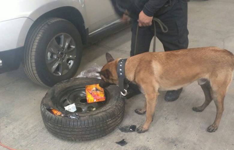 Asegura pgjem más de 30 kilos de cocaína en Cuautitlán Izcalli