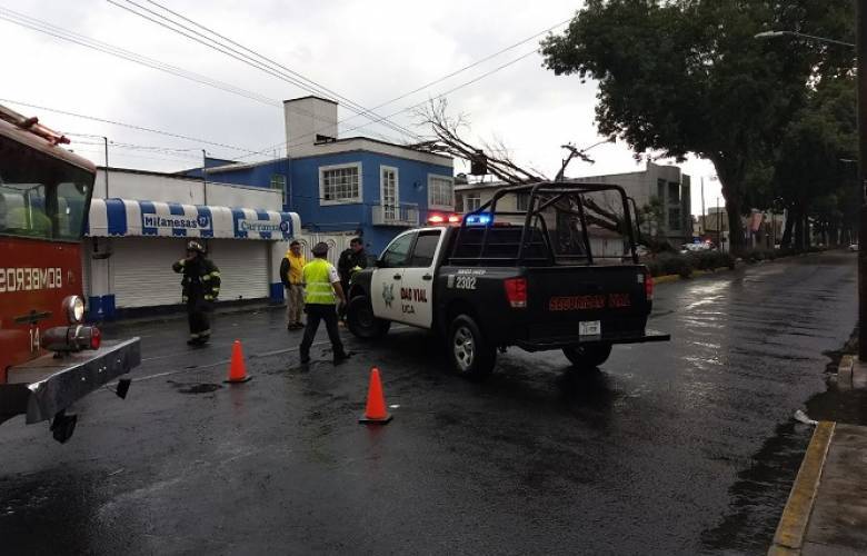 En Toluca atienden 47 servicios por las fuertes lluvias