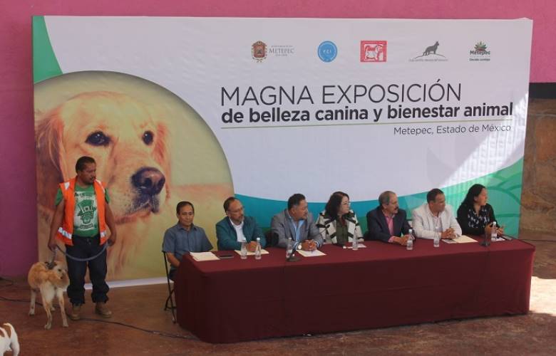 Anuncia Metepec exposición canina y de bienestar animal