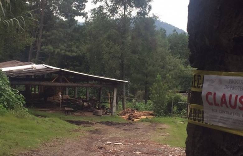 Clausura PROFEPA aserradero y predio forestal en Valle de Bravo