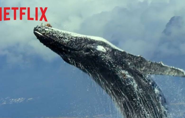 Nuestro planeta, la serie documental de Netflix que es una bofetada para los humanos