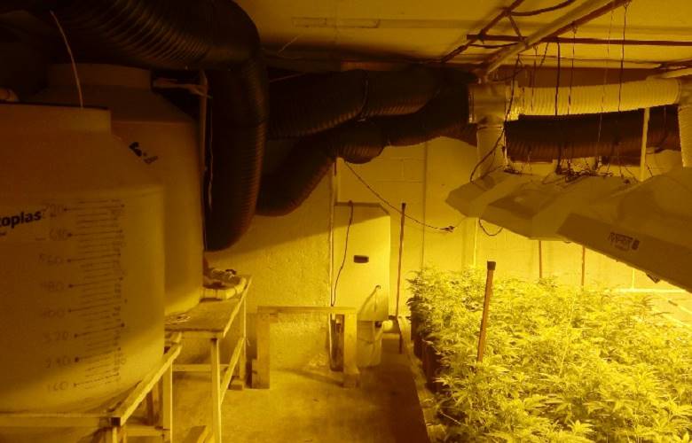 Localizan elementos de la FGJEM laboratorio para sembrar, cultivar y distribuir marihuana en Naucalpan