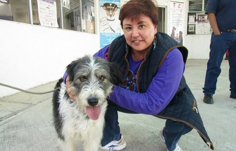 Continúa campaña permanente de esterilización y vacunación de mascotas en el CCA Toluca