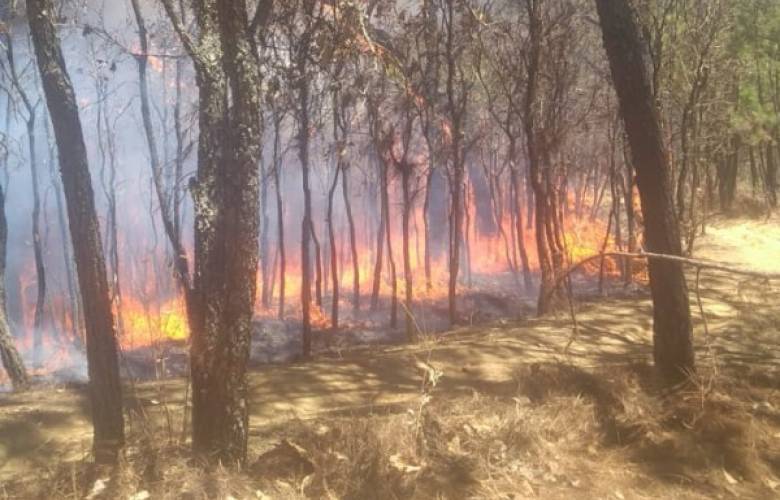 Autoridades Federales, Estatales y Municipales combaten el fuego de incendios