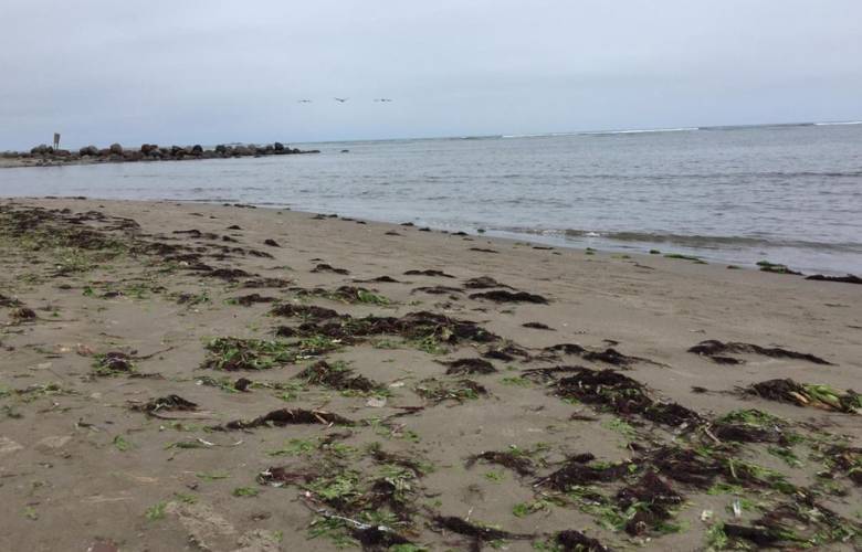 El Mar tambiÃ©n retrocediÃ³ 20 metros en Veracruz