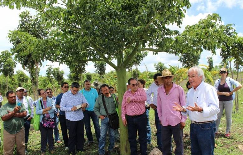 Presenta avances programa de inversión forestal en México
