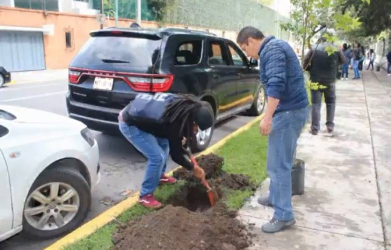 Realizan arbolización Urbana en Toluca 