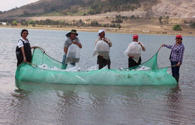 Comienza programa familias fuertes con fomento acuícola 2018