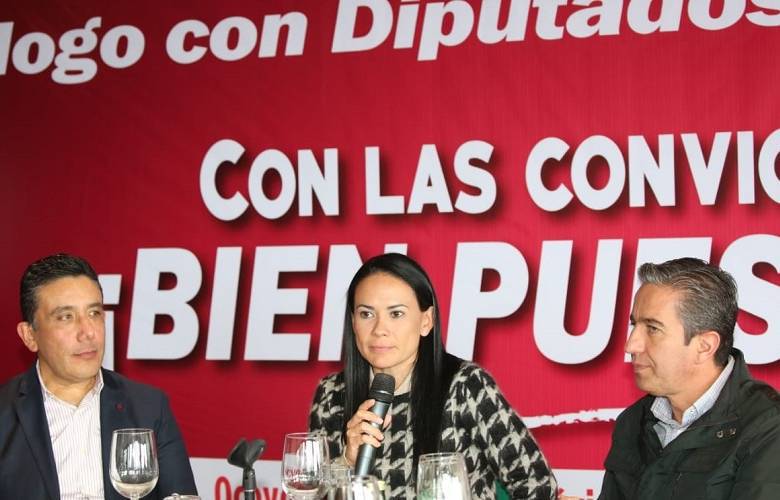 La renovación del partido no se va a dar por generación espontánea: Alejandra del Moral