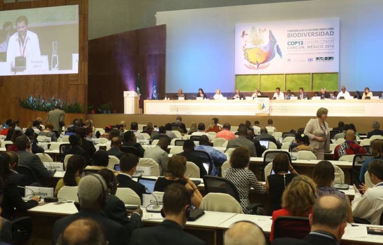 Consolida México su liderazgo Mundial en materia ambiental 