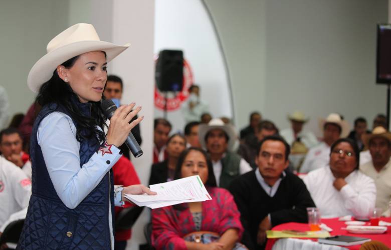 Manifiesta PRI respeto a la decisión del TEEM