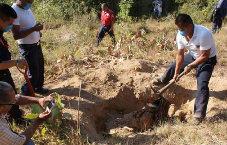 Veracruz: 5 días de búsqueda ciudadana, 28 fosas clandestinas, 40 osamentas