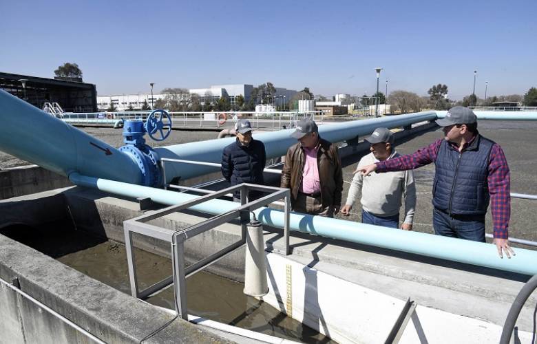 Beneficia macroplanta Toluca norte ecosistema del Valle de Toluca