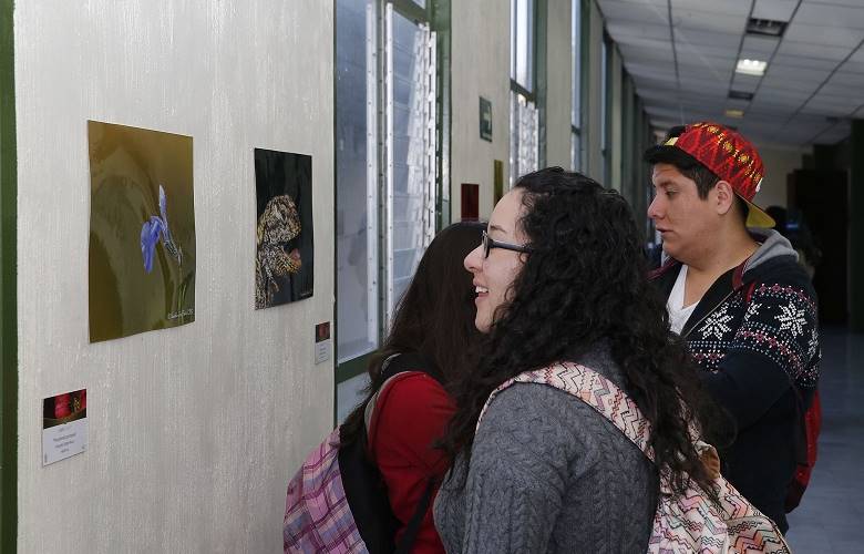 Ofertan más de mil vacantes de empleo a mujeres para celebrarla