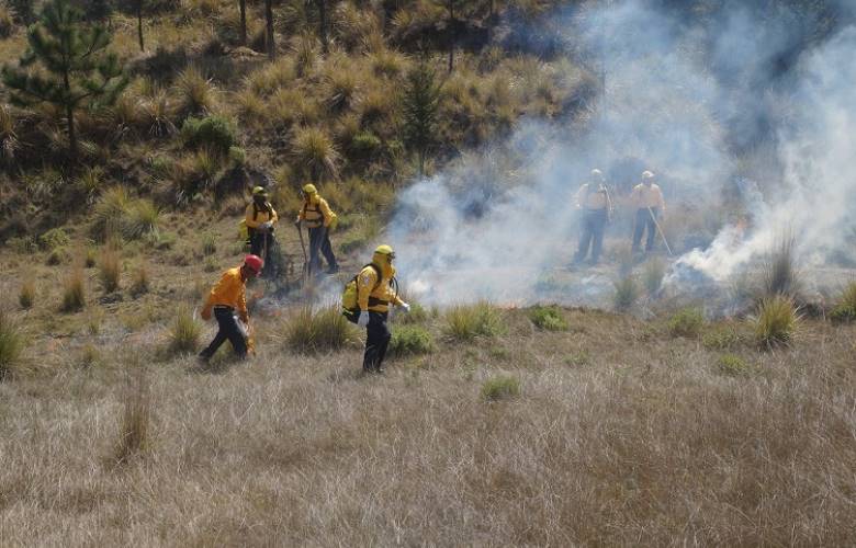 Afectan incendios menos del uno por ciento del arbolado adulto en EDOMEX durante 2016