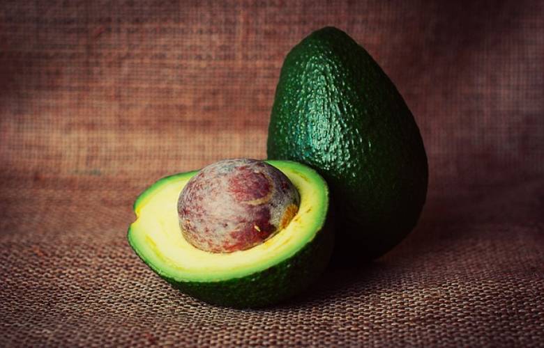 Aguacate del sur, producto para mercado internacional