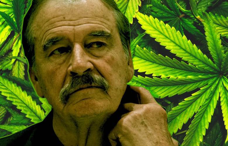 Investiga Cofepris a empresa de cannabis ligada a Vicente Fox