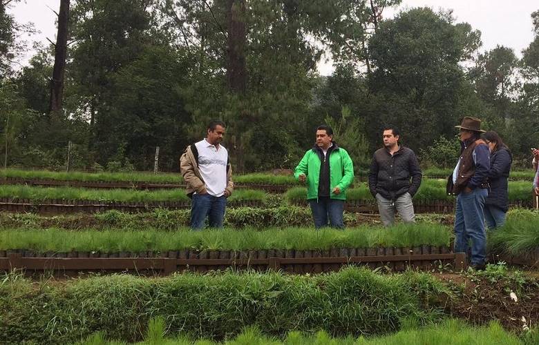 Refuerza  EDOMEX acciones en la reserva de la biosfera de la mariposa monarca