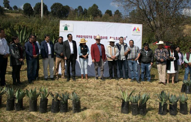 Inicia el Proyecto #AgavePulquero en Zinacantepec