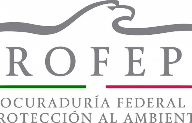 Ordena profepa demolición de condominio horizontal en área natural protegida de Valle de Bravo