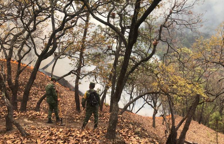 Controlan incendios forestales en Temascaltepec 