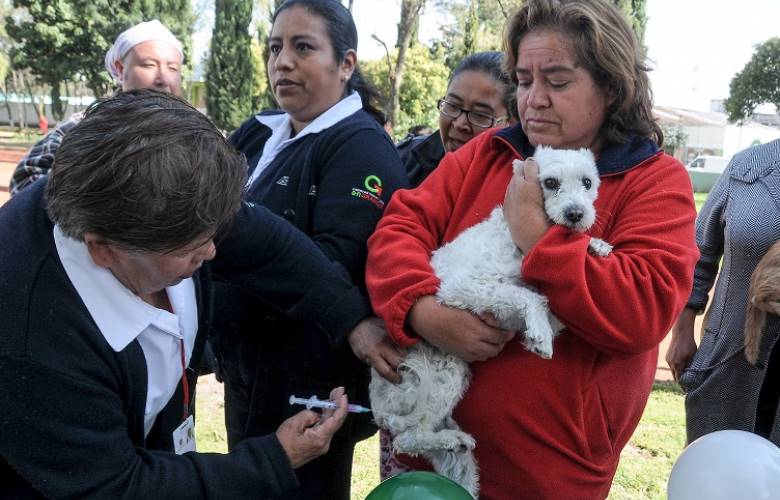 Cumple el EDOMEX 10 años sin casos de rabia en humanos