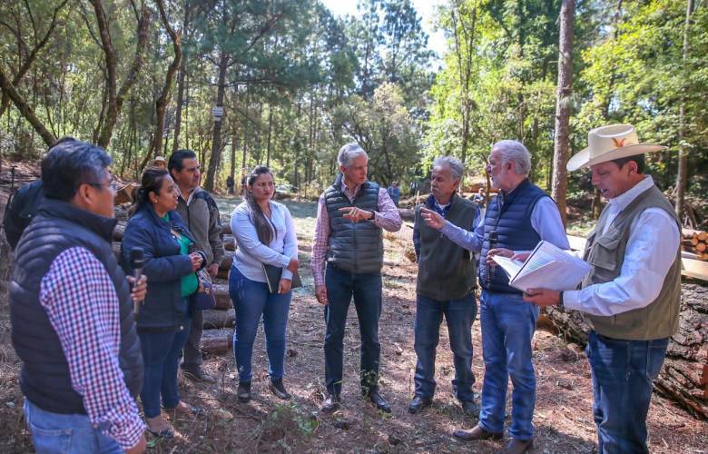 Impulsan el manejo sustentable de recursos forestales en Edoméx