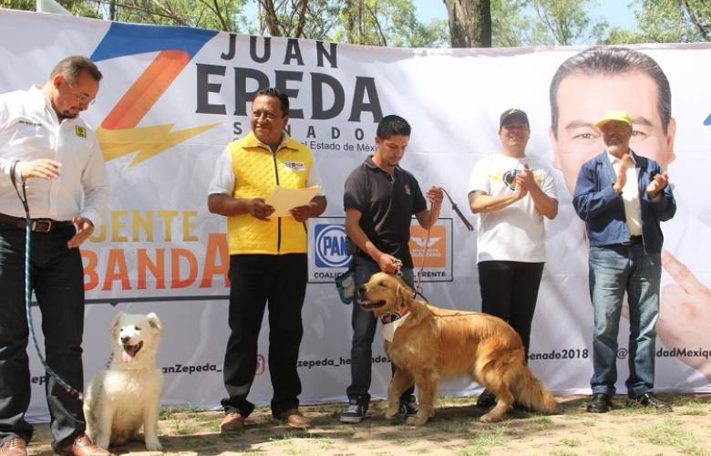 Propone Juan Zepeda hasta 5 años de cárcel por maltrato animal 