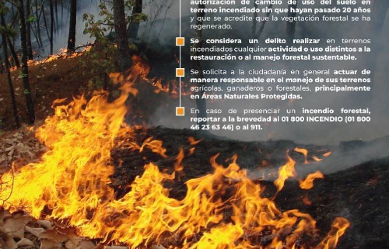 Reitera el Gobierno de México que continuará aplicando la normatividad vigente respecto al cambio de uso de suelo en terrenos incendiados