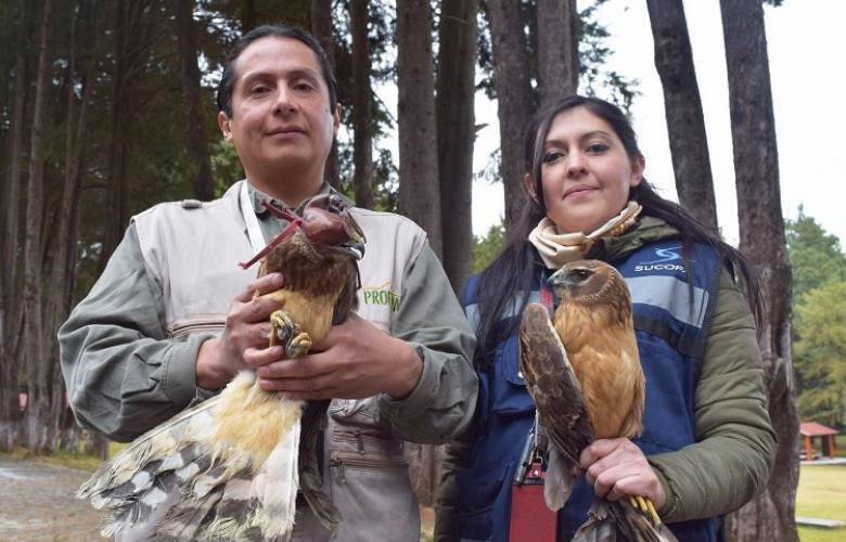 Preserva AIT fauna y promueve su liberación en áreas naturales protegidas