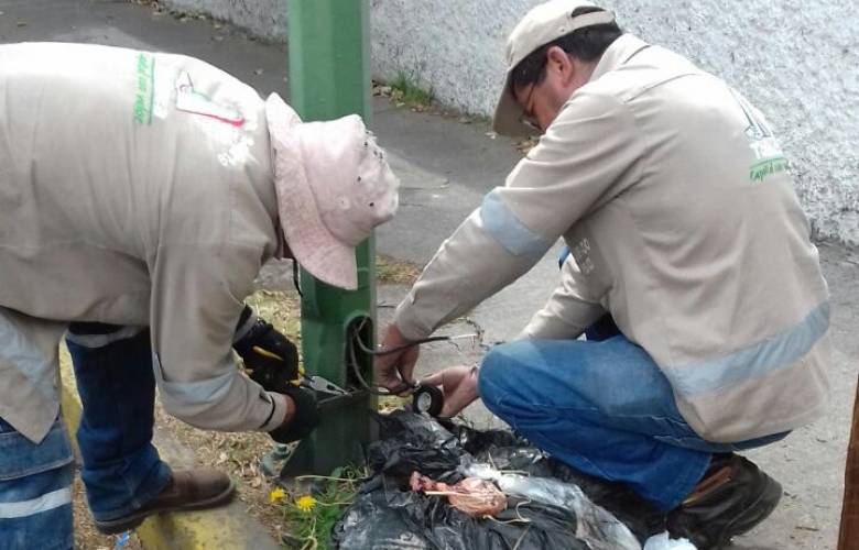 Rehabilitan y sustituyen alumbrado público en distintos puntos de Toluca
