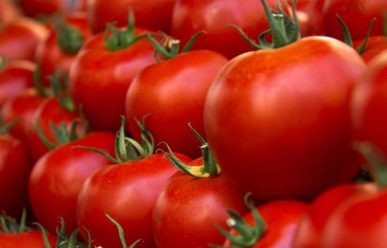 Preocupa a México aranceles impuestos al tomate por EU