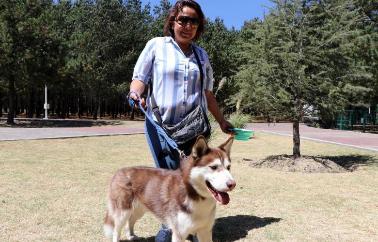 Edoméx pionero en certificar la adopción de animales