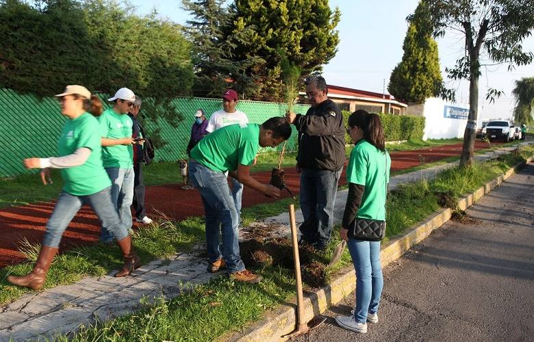 Registra Metepec avance significativo  en la plantación de árboles