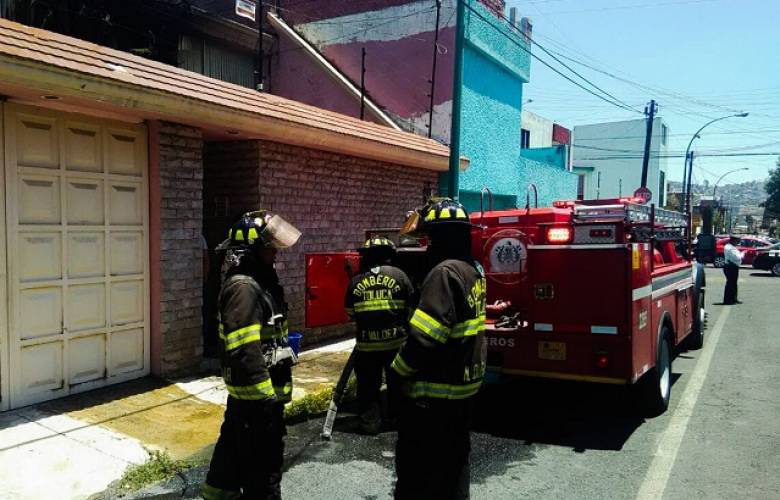 Sofocan Bomberos de Toluca incendio de un árbol en la colonia Morelos