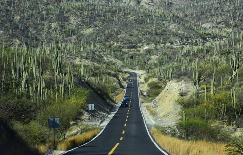 El área natural protegida Tehuacan-Cuicatlán ya es patrimonio de la humanidad