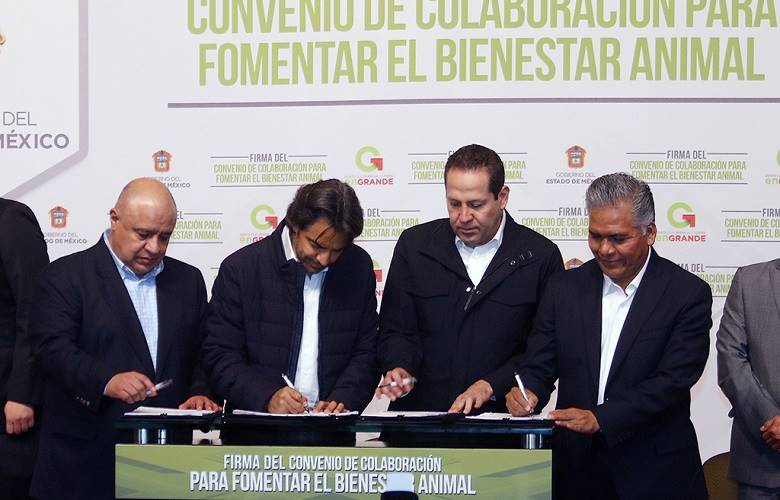 Promueven enseñanza de lengua de señas y educación especial