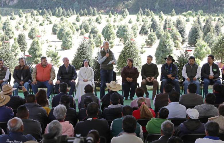 Inician GEM venta de árboles de Navidad en Amecameca