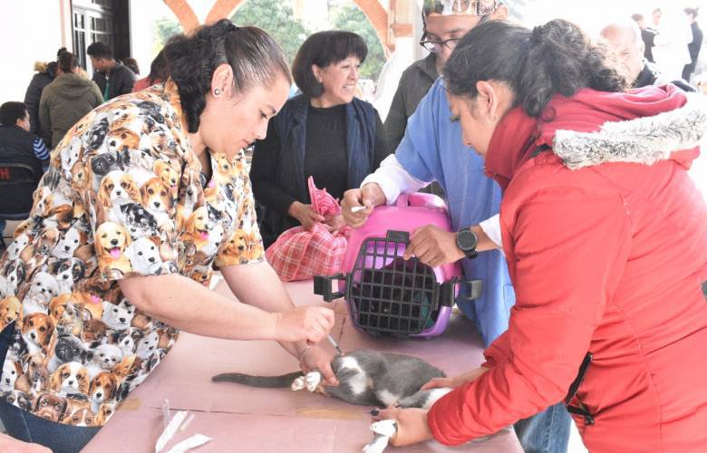 Inicia la Semana Nacional de VacunaciÃ³n AntirrÃ¡bica canina y felina en EdomÃ©x