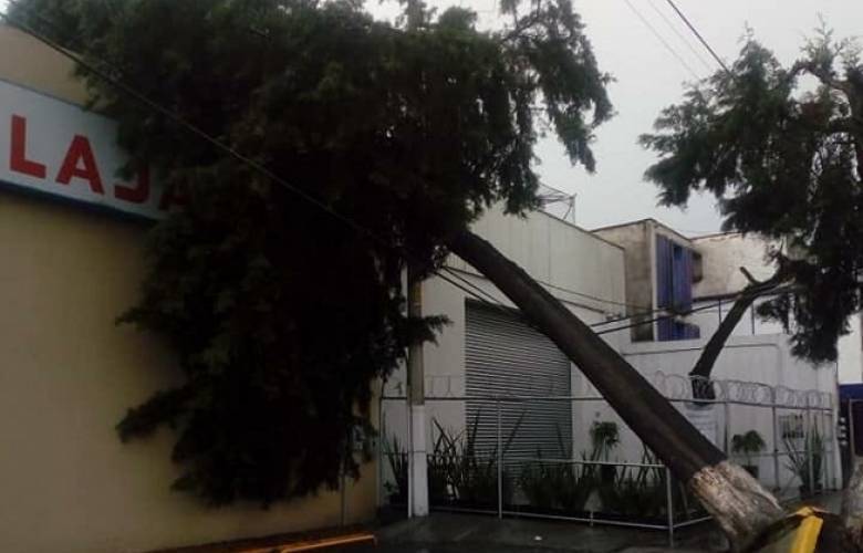    Atienden autoridades de Toluca afectaciones por lluvias